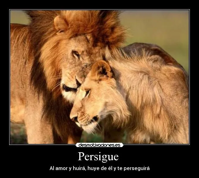 Carteles de Andrea Pag. 5 | Desmotivaciones Carteles de Andrea Pag. 5 | Desmotivaciones
