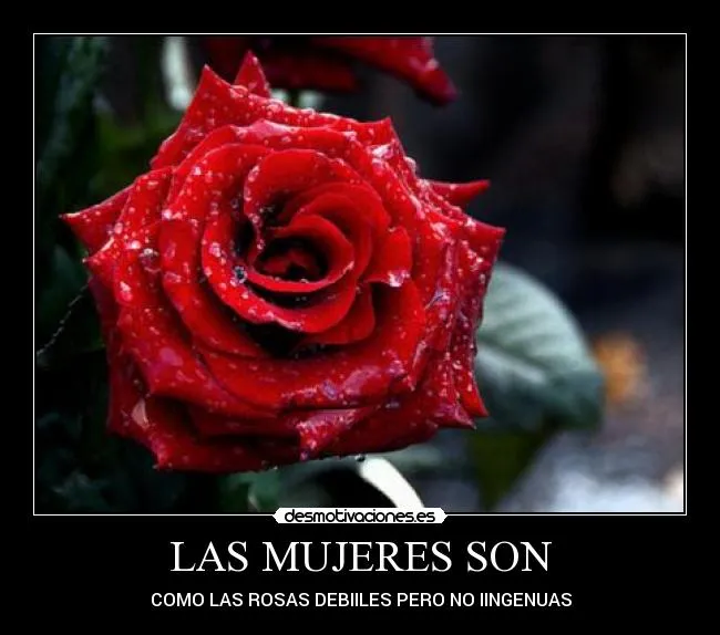 Usuario: Diana C. Lobo | Desmotivaciones
