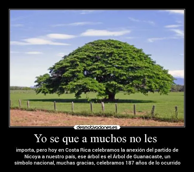 Usuario: diegollave - desmotivaciones.
