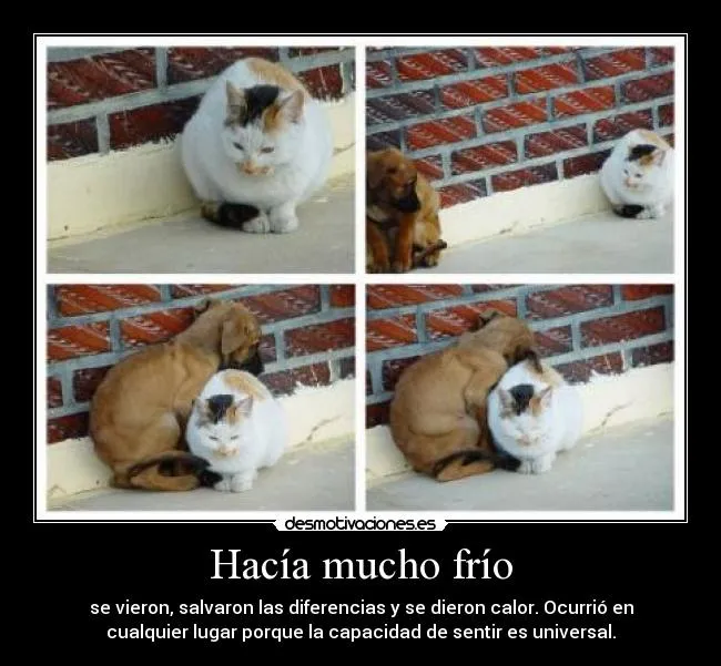 Usuario: elmejordesmotivador | Desmotivaciones Usuario: elmejordesmotivador | Desmotivaciones