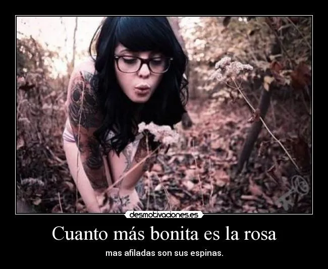 Usuario: FerchoPosadaXd | Desmotivaciones
