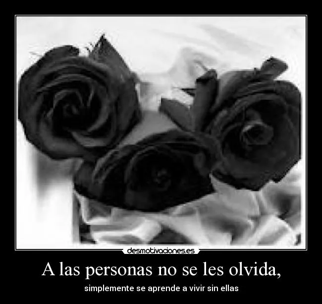 Imagenes rosas negras con frase - Imagui