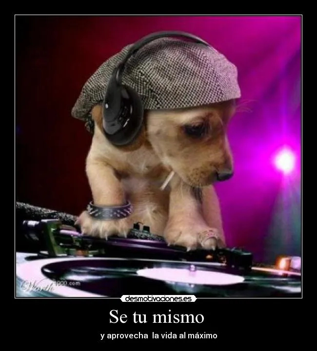 Usuario: francojg | Desmotivaciones