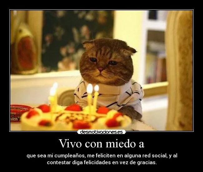 Usuario: Fuckyoubitches. | Desmotivaciones