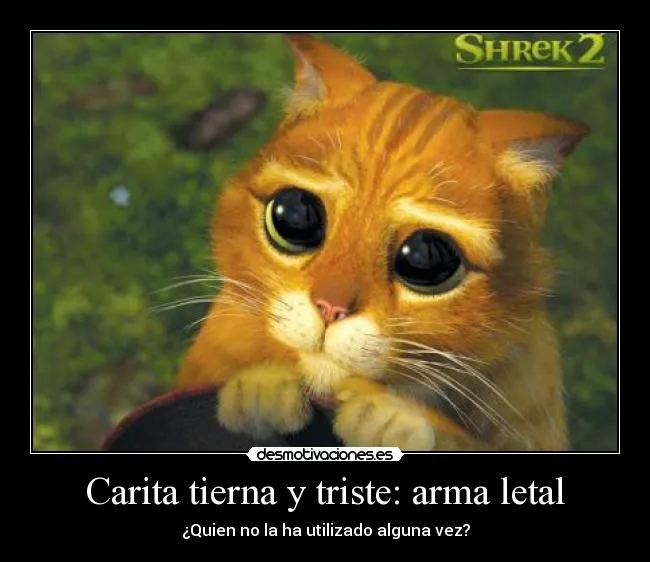 Usuario: Hikaru-chan | Desmotivaciones