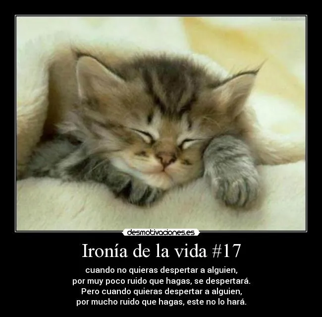 Usuario: ismorsol27 | Desmotivaciones