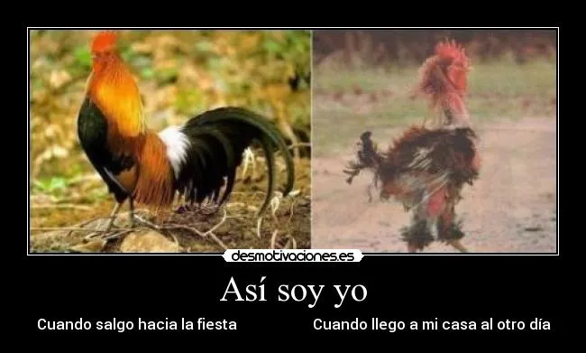 Usuario: JimenezHope | Desmotivaciones