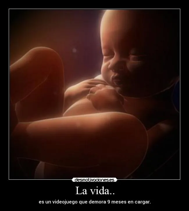 Usuario: PitiPitiPi | Desmotivaciones