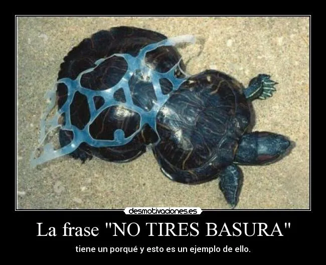Usuario: lAceptada | Desmotivaciones