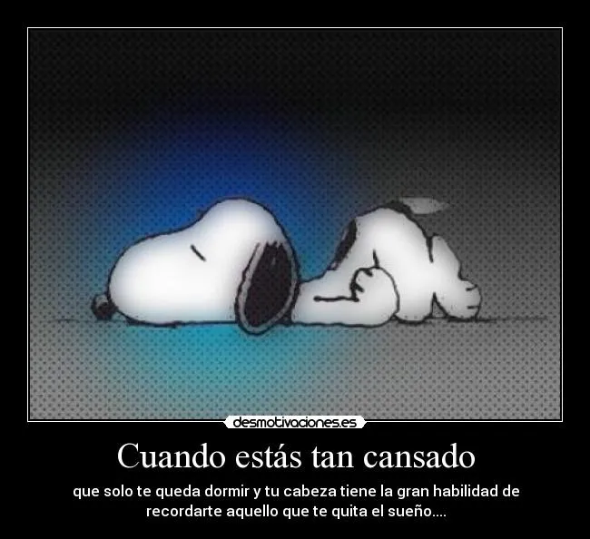 Fotos de Snoopy durmiendo - Imagui