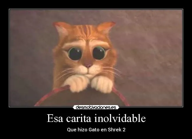 Esa carita inolvidable | Desmotivaciones