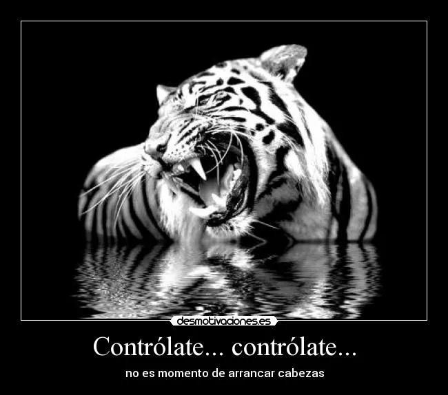 Usuario: MaNiSa | Desmotivaciones