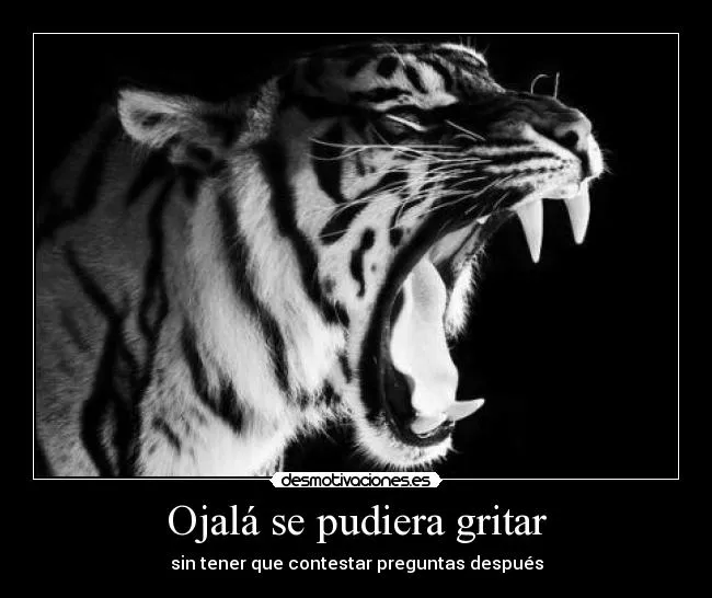 Usuario: MaNiSa | Desmotivaciones