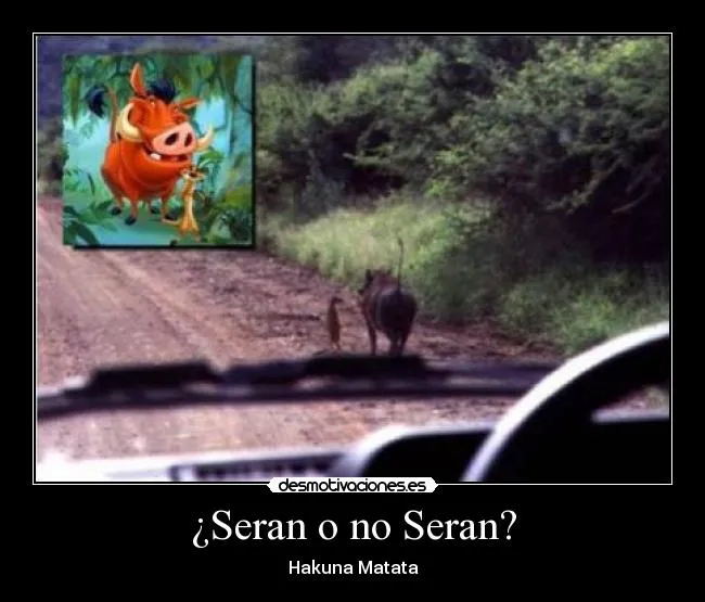 Carteles de Caricaturas Pag. 7 | Desmotivaciones