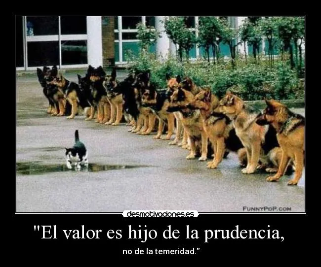 Usuario: mariopg | Desmotivaciones