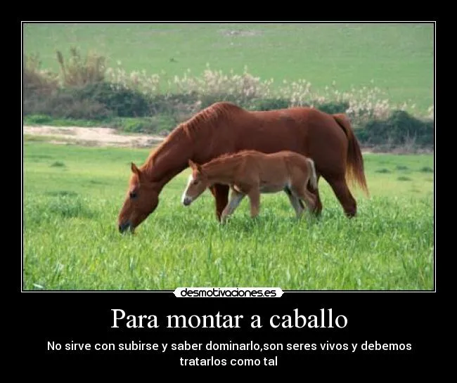 Para montar a caballo | Desmotivaciones