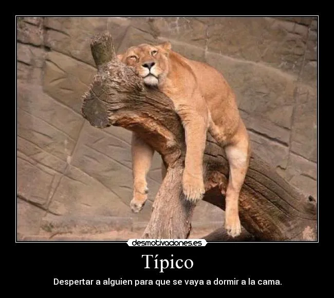 Usuario: Noe_A.C. | Desmotivaciones