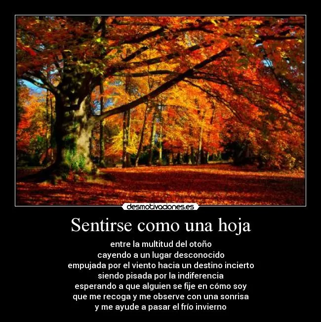 Imagenes de otoño con frases - Imagui