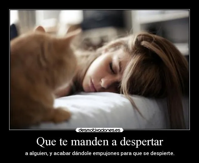 Usuario: PawsUp | Desmotivaciones