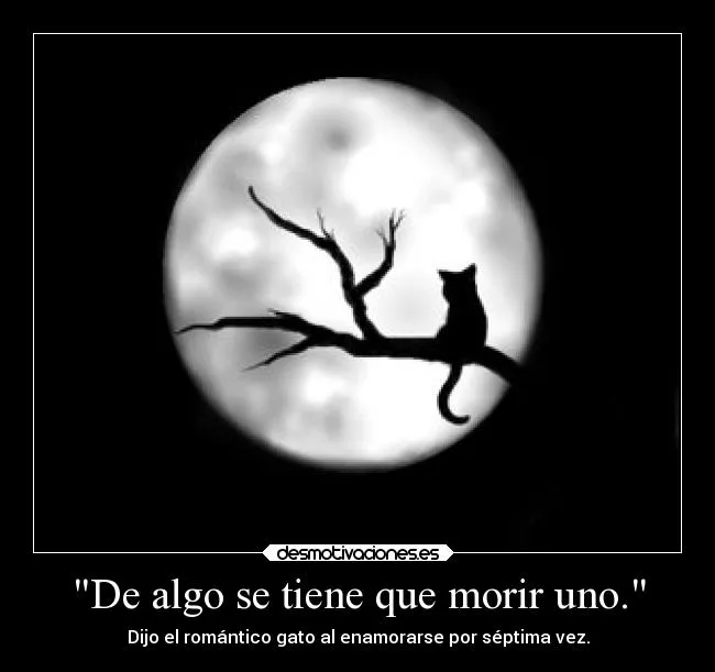 Usuario: Prit | Desmotivaciones