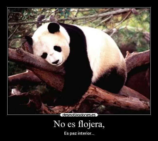 Usuario: Qristta | Desmotivaciones