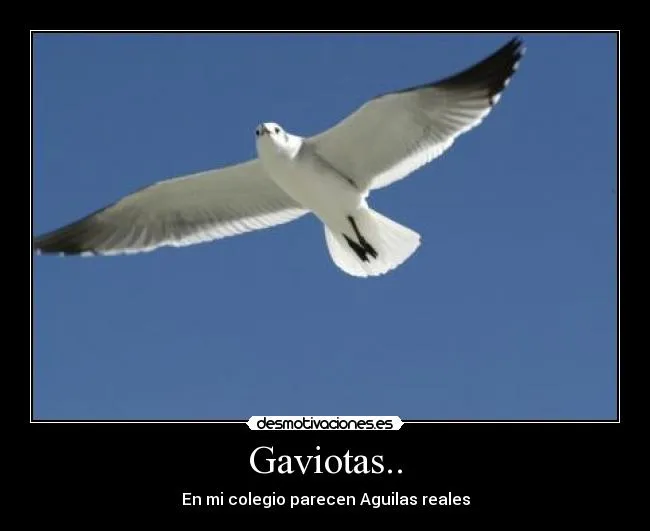 Usuario: RusaSpain | Desmotivaciones