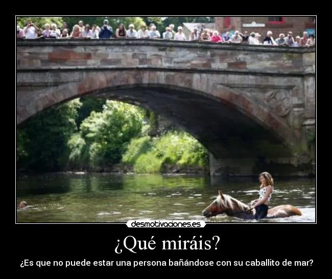 Usuario: SB_Odioalosfalsos | Desmotivaciones Usuario: SB_Odioalosfalsos | Desmotivaciones