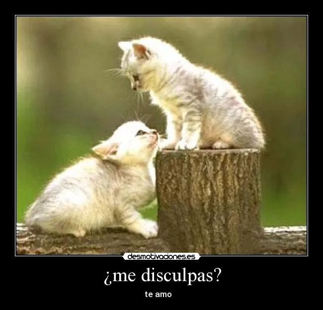 Usuario: solotengocartelesencola | Desmotivaciones