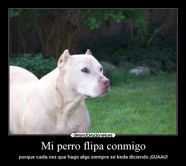Usuario: sota | Desmotivaciones