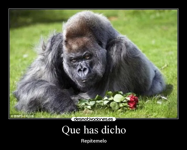 Usuario: Syntax Error | Desmotivaciones