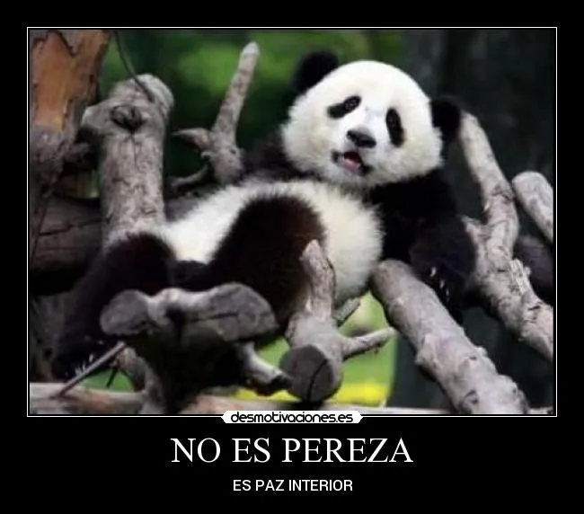 Usuario: talita16 | Desmotivaciones