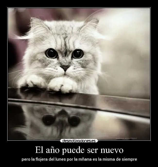 Usuario: Tatooo102 | Desmotivaciones