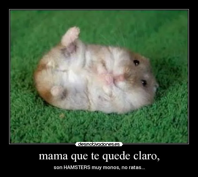 Usuario: Tharatopus | Desmotivaciones