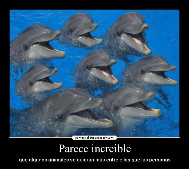 Usuario: Vallejo | Desmotivaciones