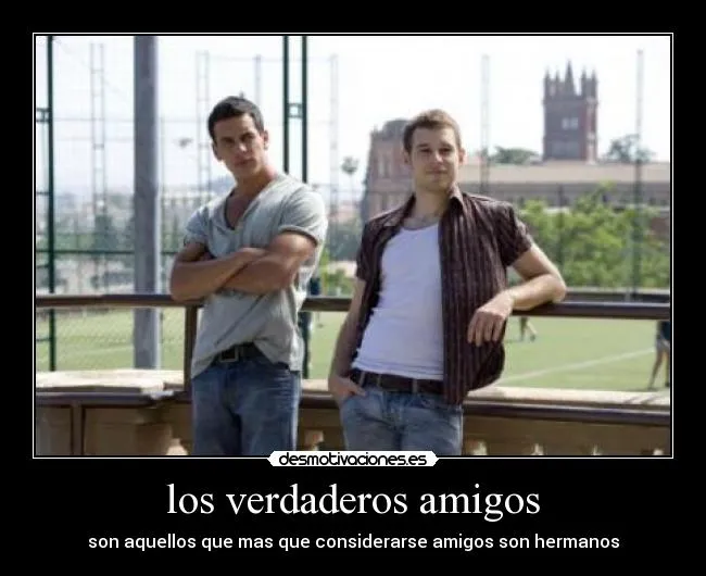 Hache y pollo 3msc desmotivaciones - Imagui