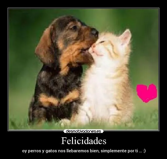 Usuario: wambie | Desmotivaciones
