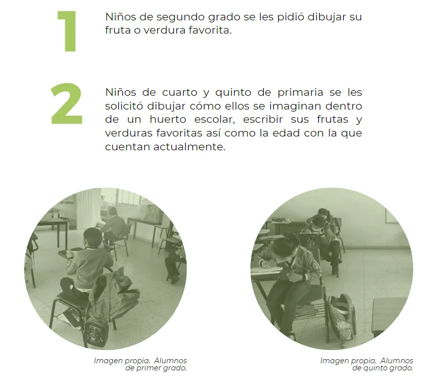 USUARIOS :: Huerto escolar