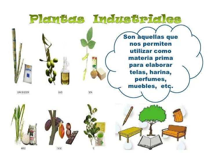 utilidad-de-las-plantas-4-728. ...