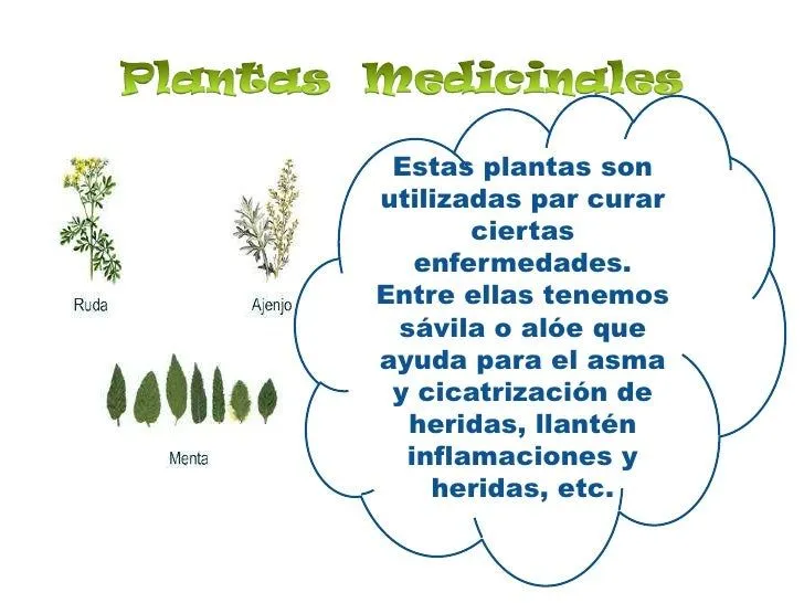 utilidad-de-las-plantas-5-728. ...