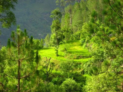 uttarkashi-himalaya.jpg
