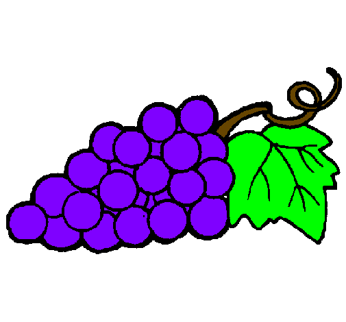 UVA EN DIBUJO - Imagui