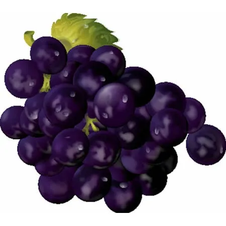 Uvas dibujo animado - Imagui