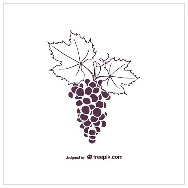 Uvas | Fotos y Vectores gratis