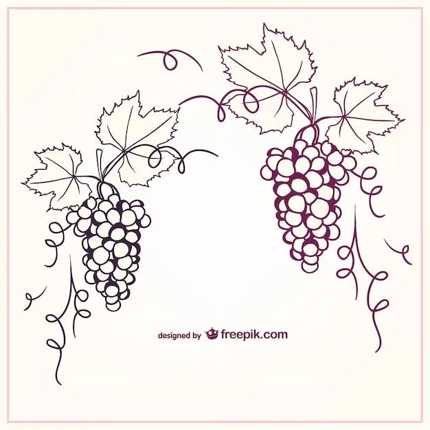 Uvas | Fotos y Vectores gratis