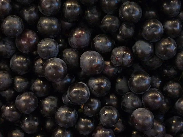 Uvas, frutas de color negro azulado | Imagenes Sin Copyright Uvas, frutas de color negro azulado | Imagenes Sin Copyright