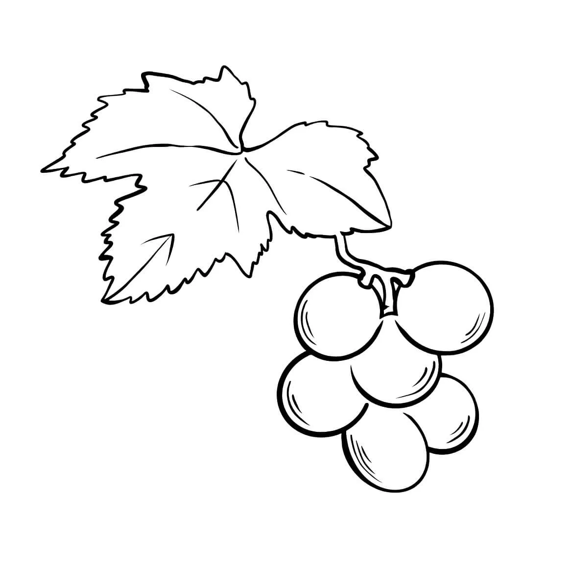Uvas con Hoja para colorear, imprimir e dibujar –ColoringOnly.Com Uvas con Hoja para colorear, imprimir e dibujar –ColoringOnly.Com