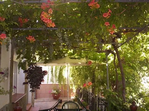 Las uvas de la parra | Flickr - Photo Sharing! Las uvas de la parra | Flickr - Photo Sharing!