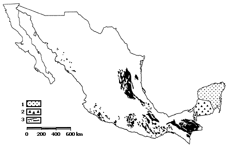 V. EL RELIEVE MEXICANO