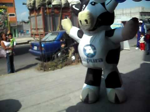 vaca alpura manchas VS doctor simi eres lo mejor vaca!!!!!! - YouTube vaca alpura manchas VS doctor simi eres lo mejor vaca!!!!!! - YouTube