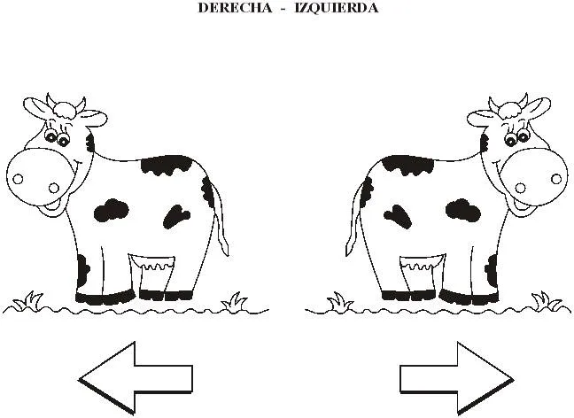 Vaca, derecha, izquierda | Maestras Jardineras